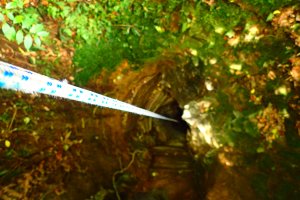 Abseiling down the 135 foot cavern entrance
